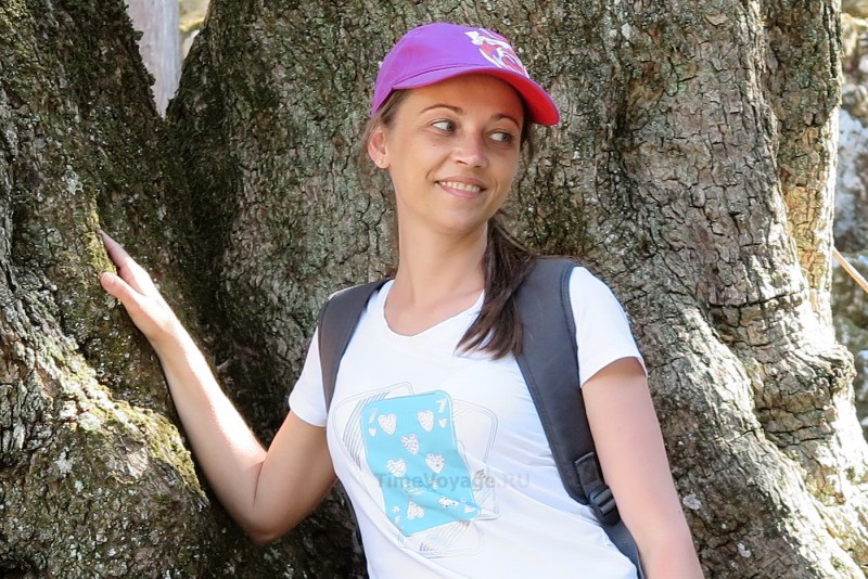 Greece, Zakynthos Island, Askos Stone Park - Olive Trees