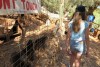 Griechenland, Insel Zakynthos, Askos Stone Park - Waschbären füttern