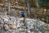 Greece, Zakynthos Island, Askos Stone Park - Peacocks