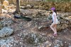 Ελλάδα, Ζάκυνθος, «Askos Stone Park» - παγώνια