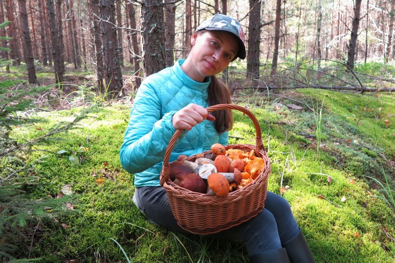 Mushrooms in the Moscow region