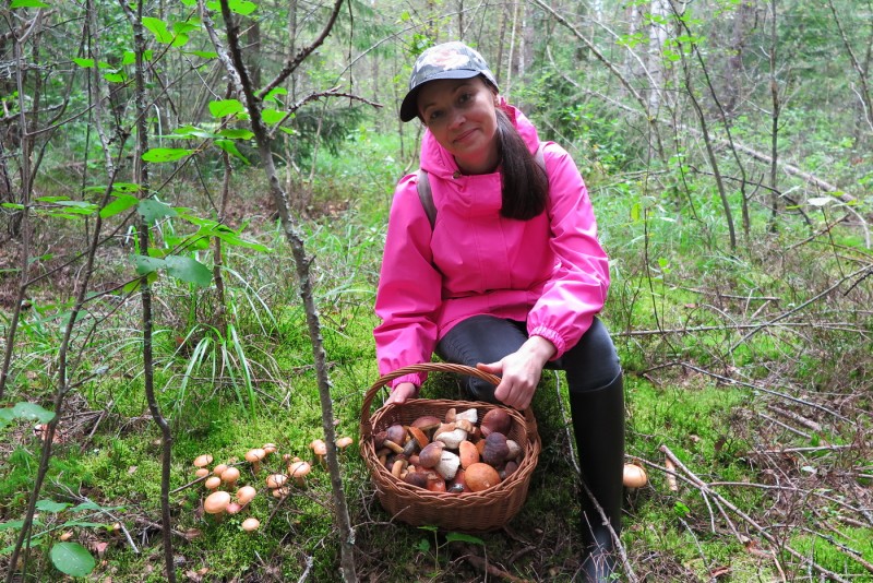 В лесу не живу, а без грибов не сижу! – Собираю Белые грибы и Подосиновики в нашем Подмосковье